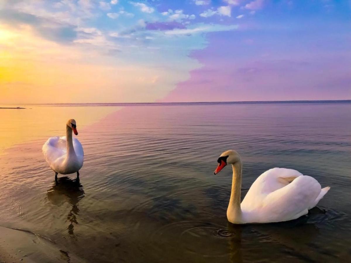 Sunsay Yurmala Butas Jurmala
